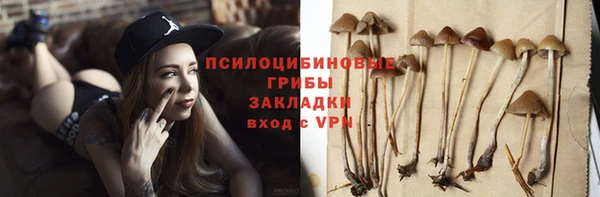 ALPHA PVP Сатка
