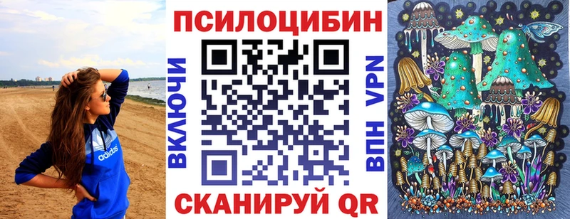 shop наркотические препараты  Судак  Псилоцибиновые грибы Magic Shrooms 